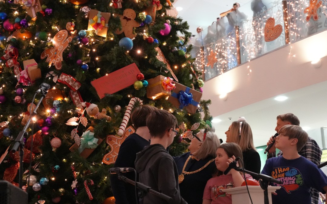 max20 Supports Alder Hey Children’s Hospital Christmas Lights Switch-On